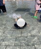 「【児発・放デイ】水遊び🔫【札幌市北区児童デイ】」