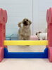 笑顔のジョアくん　😄「ましゅまろ幼稚園🐾パート１」