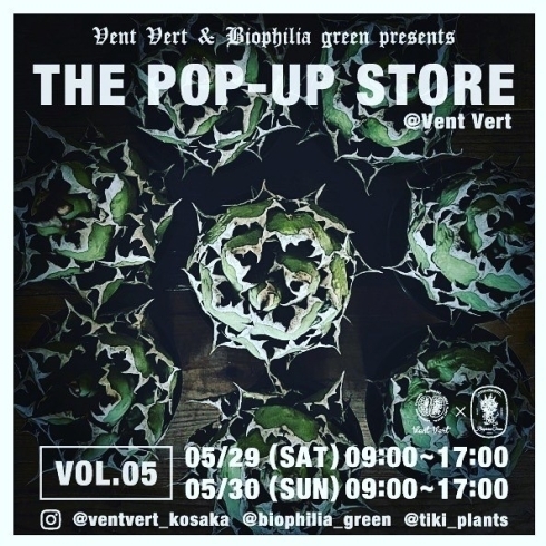 「多肉植物ポップアップ【The pop-up store in 2021】Vol.5！」