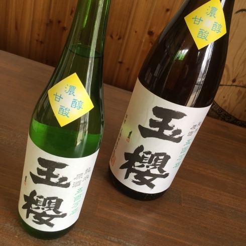 「【入荷情報】玉櫻　純米　一火瓶貯　原酒」