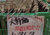 「ハタハタ1串390円！！！」