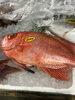 金目鯛「西海物産館　鮮魚コーナー「金目鯛」入荷しました❗️」