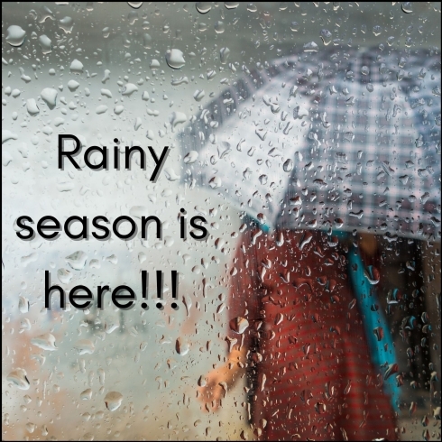 It's here!!!「Teacher'sコーナー66号  The rainy season, are you ready for it? 蘇我駅近くの英会話教室】043-209-2310」