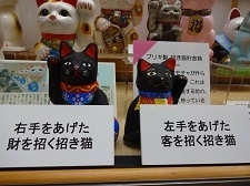 雄と雌の招き猫です！