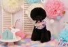 Happy birthday　モアくん「Anniversary photo　(^O^)／」