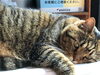「まったり」