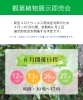 6月開催日程「【6月】観葉植物展示即売会のお知らせ」