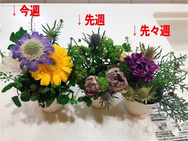 「毎週届くお花の定期便。初めてから半年経ちました(^^)」