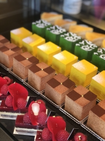 Leciel 船橋のケーキ屋さん 手土産 焼菓子 誕生日ケーキのご予約も承ってます Patisserie Le Ciel 船橋本町通り店のニュース まいぷれ 船橋市