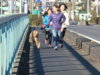 朝早くワンちゃんと家族がジョギングを楽しんでいました。ワンちゃんは4歳で体力がありました。