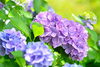 「６月のご予約可能日⭐︎」