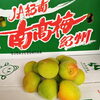 「「梅」の入荷が始まっていますよ～♪♪ 和歌山県産「南高梅」」