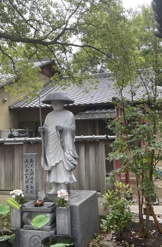 境内のお大師様と沙羅双樹と「沙羅双樹の花が咲いて参りました（葛城市近鉄新庄駅すぐ　葛城山ふもと）」