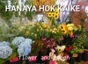 「【はなやHOK皆生店】季節を感じるお花たち♪」