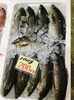 「西海物産館・魚魚市場鮮魚コーナーおすすめは「イサキ・エゾバフンウニ」です♪」