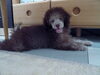 Happy　birthday　MuMu♡「特別な日だから　(^O^)」
