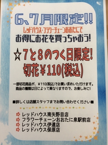 「6.7月限定！7と8のつく日、切り花¥110‼︎」