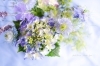 photo little forest「＊　あなたは誰に相談しますか？」