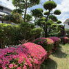 植木屋ハッピーグリーンです！