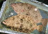 「西海物産館・魚魚市場鮮魚コーナーおすすめは「ヒラメ入荷しました」です♪」