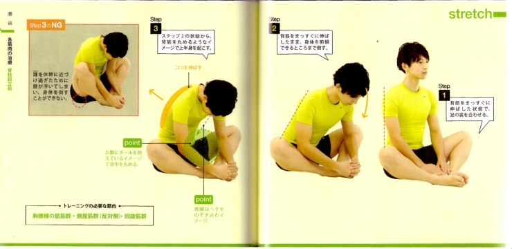 腰痛予防のストレッチ（脊柱起立筋群）「【８回目】ストレッチの紹介（“腰痛”予防のストレッチ）」