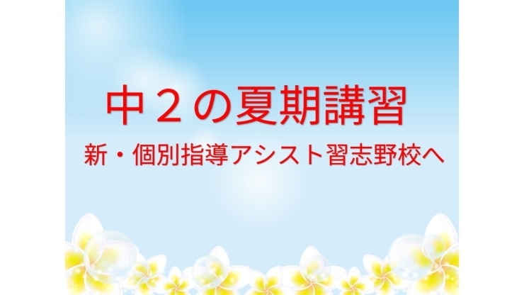 「中２の夏休みの過ごし方｜京成大久保で塾をお探しなら新・個別指導アシスト習志野校へ」