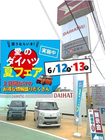 夏フェア「夏フェアも残すところもあと２日!!!!」