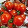 「今年も出荷が始まりました。 岩手県遠野市宮守地区産　「塩栽培　ミニトマト」です。」