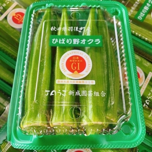 「今年も入荷が始まってるよー！！ 知る人ぞ知る。美味しい「オクラ」秋田県産　JAうご『ひばり野オクラ』です♪♪」