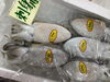 「魚魚市場鮮魚コーナーおすすめは天然鯛・カレイ」です♪」