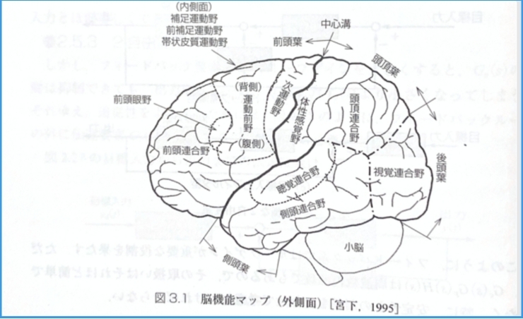 「脳の働き」