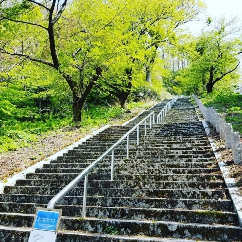 「1088段の階段にチャレンジ✨神道山公園✨✨✨」
