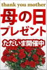 「★まだまだ母の日プレゼント開催中です★」
