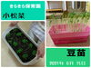 「すごーい！！ 【交野市・小規模保育園】」
