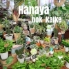 「『はなやホック皆生店』癒しのグリーンを！」