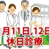 1月11日、12日の休日診療