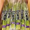 「岩手県産「行者菜」の出荷が順調ですー♬」
