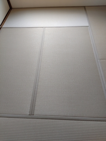 ダイケン和紙製畳表を使用した新畳の施工「梅雨の晴れ間に畳替え！ついでに襖の張り替えもしたい！お任せ下さい。腕の良い職人さんご紹介出来ます！」