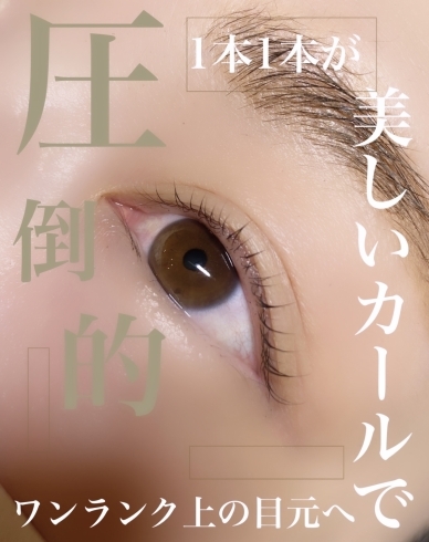 マスカラ無しでも美しい「大感謝祭最大1000円割引終了まで残り8日✨空き状況」