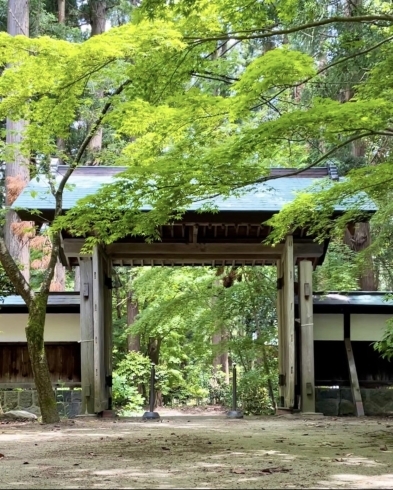 「乙宝寺参拝・散策の後は！」