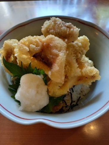 「6月23日(水) 一魚一会のおすすめランチは「ゲソ天丼」です♪」