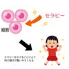 「メタセラピーとは？」