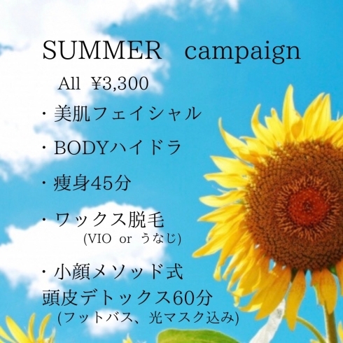 summer campaign「Summer campaign」