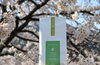 「揖斐産の茶葉で作られた新茶がまだまだアツい！」