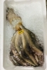 「魚魚市場鮮魚コーナーおすすめは「バーベキューセット・タコ」です♪」