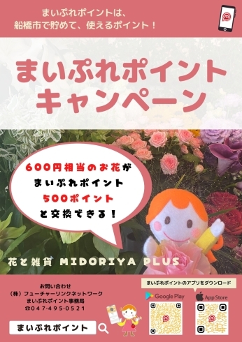 「【花と雑貨 midoriya plus】でお得な「まいポ」キャンペーンが始まりました！」