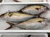 「九州産天然カンパチと積丹産天然真鯛が入荷しました！」