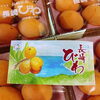 「只今、「びわ」絶賛入荷中です～♪♪ 長崎県産　「びわ」　です✨」