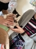宗八です！どうぞよろしく！「ふらっとに新しい家族が増えました❣️」
