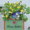 ブルー系の紫陽花とひまわり。グリーンはベビーハンズ「お祝い花〜スタンド〜」